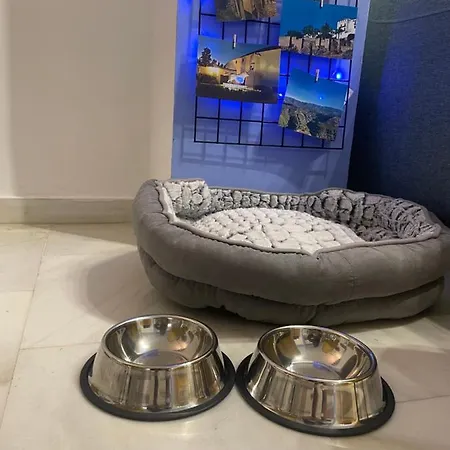 Apartamento Bohemio Centro